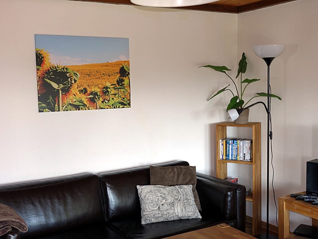 Auswahl an CD's, DVD's, Wii-Spiele und Büchern im Wohnzimmer Haus Mohnblume Haus 93 im Feriendorf Öfingen
