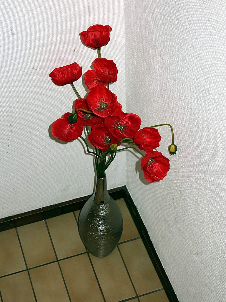 Mohnblumen